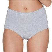 JBS of Denmark Truser Bamboo Maxi Brief Lysgrå X-Small Dame