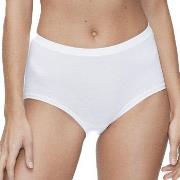 JBS of Denmark Truser Organic Cotton Maxi Brief Hvit økologisk bomull ...