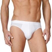 Calida Evolution Brief 21660 Hvit 001 bomull Small Herre