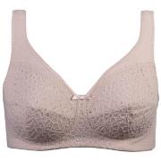 Damella BH Classic Soft Lace Bra Pudder B 95 Dame