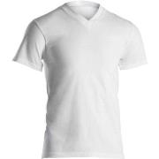 Dovre Single Jersey  V-neck T-Shirt Hvit bomull Large Herre