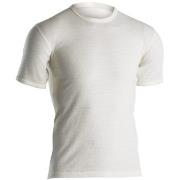 Dovre Wool T-shirt Hvit merinoull XX-Large Herre