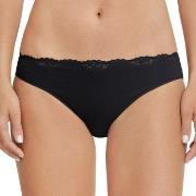 Schiesser Truser Pure Cotton Tai Svart bomull 44 Dame