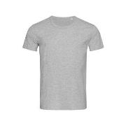 Stedman Ben (Crew Neck) For Men Grå ringspunnet bomull Large Herre