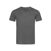 Stedman Ben V-neck For Men Mørkgrå  ringspunnet bomull Small Herre