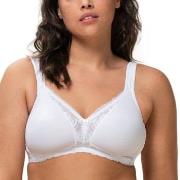 Triumph BH Modern Lace Cotton Soft Bra Hvit C 100 Dame