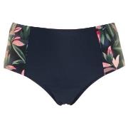 Missya Milano Bikini Maxi Brief Blå/Rosa 38 Dame