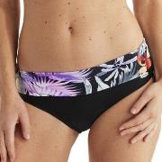 Damella Veronica Tropical Tai Bikini Brief Lilla/Svart 38 Dame