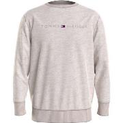 Tommy Hilfiger Icon Logo Relaxed Fit Sweatshirt Beige Medium Herre