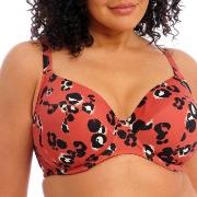 Elomi Kotiya Underwire Plunge Bikini Top Oransje/Svart H 90 Dame