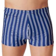 Schiesser Badebukser Aqua Classic Swim Shorts Lysblå Stripet Medium He...