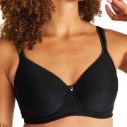 Swegmark BH Adamo Shape Padded Cup Wire Bra Svart polyamid B 80 Dame