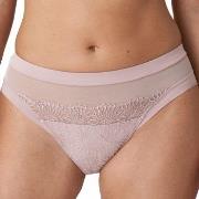 PrimaDonna Truser Sophora Rio Brief Lysrosa 40 Dame