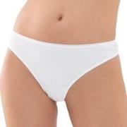 Mey Truser Organic Cotton Mini Briefs Hvit bomull Large Dame