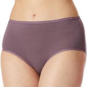 Schiesser Truser 2P Modal Essentials Midi Briefs Lilla/Svart bomull 44...