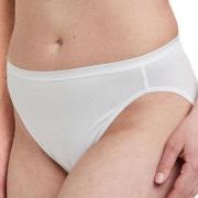 Decoy Truser 5P Tai Briefs Hvit økologisk bomull Large Dame