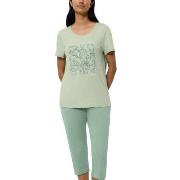 Triumph PK 02 Capri Pyjama Set Grønn bomull 48 Dame