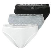 Schiesser Truser 3P Modern Lace Rio Briefs Mixed bomull 48 Dame