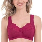 Anita BH Orely Support Bra Cherry nylon D 110 Dame