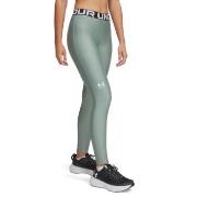 Under Armour HeatGear Leggings Grønn polyester X-Large Dame