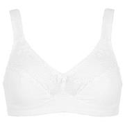 Damella BH Felice Soft Bra Hvit bomull D 95 Dame
