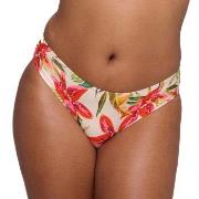 PrimaDonna Tanzania Bikini Rio Briefs Mixed 42 Dame