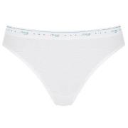Sloggi Truser 3P 24 7 100 Tai Briefs Hvit bomull 46 Dame
