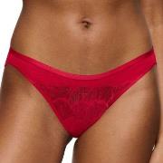 Triumph Truser Palina Moonlight Kiss Brazilian Brief Rød polyamid 36 D...