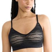 Sloggi BH FREE Evolve Lace Push-Up Bra Svart Sloggi 01 Dame
