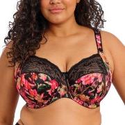 Elomi BH Morgan Banded Bra Blomstret K 70 Dame