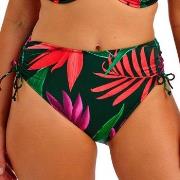 Fantasie Pichola High Waist Bikini Brief Blomstret Large Dame