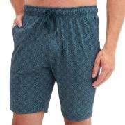 Calida Pyjama Short Petrol bomull XX-Large Herre