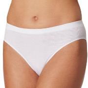 Schiesser Truser Pure Rib Organic Cotton Rio Briefs Hvit 40 Dame