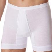 Schiesser Fine Rib Underpants 3XL-6XL Hvit bomull 3XL Herre