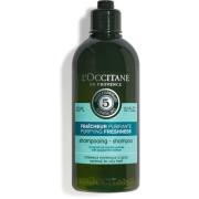 L'Occitane Aromachologie Revitalizing Fresh Shampoo 300 ml