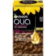 Garnier Olia 6.3 Golden Light Brown 1 pcs