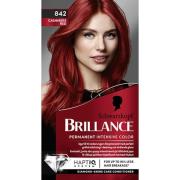 Schwarzkopf Brillance 842 Cashmere Red - pcs 1