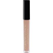 Shiny Plumping Lip Gloss, 2,7 ml Gynning Beauty Lipgloss