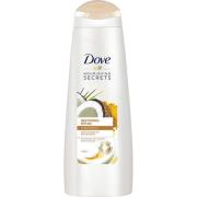 Dove Restoring Shampoo 250 ml