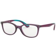 Stunning Violet Eyewear Frames RY 1589