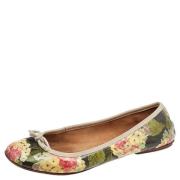 Pre-owned Flerfarget skinn Dolce & Gabbana Flats