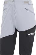 Women's TERREX Xperior Hiking Shorts Silvio/Black