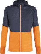 Icebreaker Men's Merino 200 Realfleece Descender Longsleeve Zip  Graph...