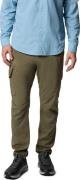 Columbia Men's Skien Valley Cargo Pant  Stone Green