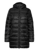 Hooded Polyfilled Jacket Fôret Jakke Black Champion