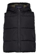 Puffer Vest Fôret Vest Blue Tom Tailor