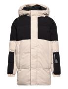 Jjeforce Puffer Sn Jnr Fôret Jakke Grey Jack & J S