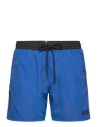 Starfish Badeshorts Blue BOSS