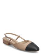 Belinda Ballerina Flate Sandaler Brown Steve Madden