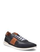 Dan Lave Sneakers Navy Playboy Footwear